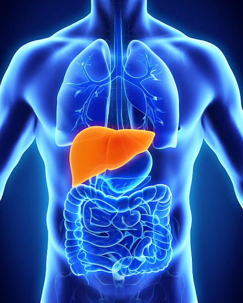 IF YOU BEGIN TO NOTICE THESE 6 SIGNS IN YOUR BODY, GO FOR LIVER TEST