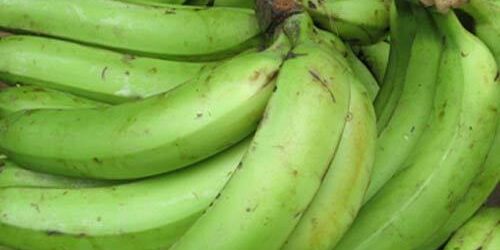 4 THINGS THAT EATING UNRIPE PLANTAIN CAN DO FOR YOU