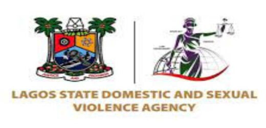 LAGOS GOVERNMENT BEGINS PUBLISHING NAMES AND PHOTOS OF SEX OFFENDERS