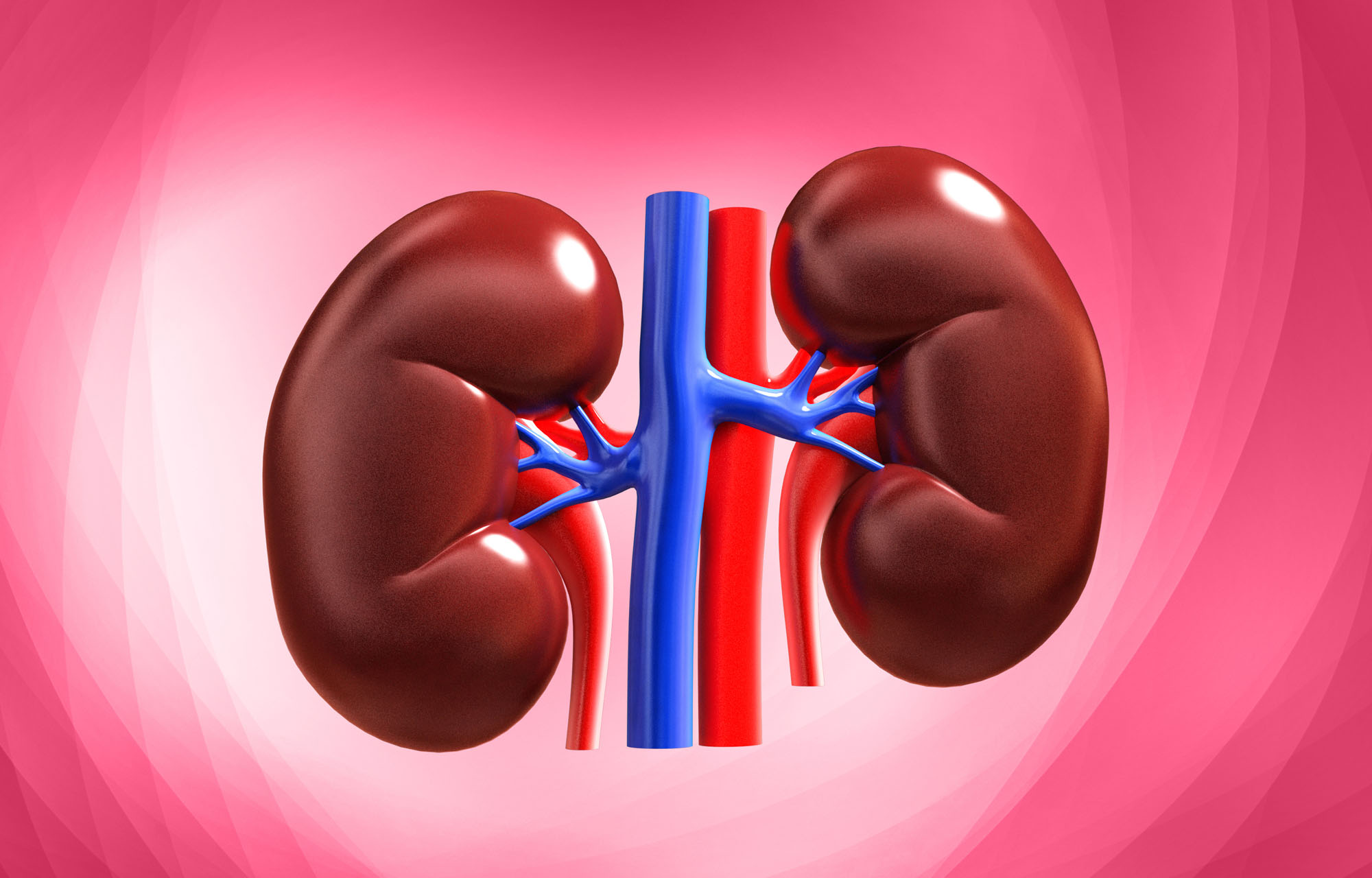 5 KIDNEY DAMAGING DRUGS YOU SHOULD AVOID TAKING WITHOUT DOCTOR’S PRESCRIPTION