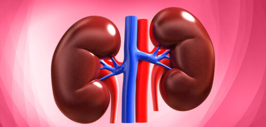 EVERYONE SHOULD AVOID KIDNEY PROBLEM BY STAYING AWAY FROM THESE 5 HABITS