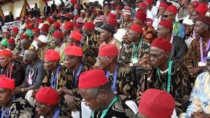Ohaneze Ndigbo rejects result of presidential election, says it will be challenged in court