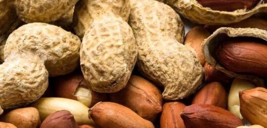THE HEALTH BENEFITS OF EATING GROUNDNUTS (PEANUTS)