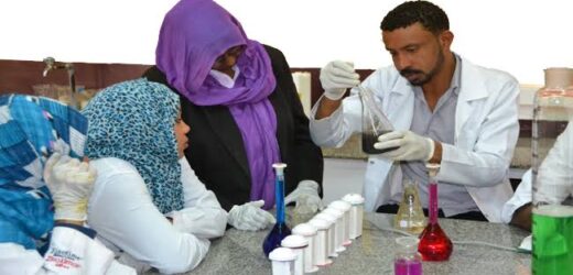 WHO warns of ‘huge biological risk’ after Sudan fighters occupy lab containing virus