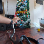Huge 6ft black mamba snake slithers out from family’s Christmas tree in festive horror