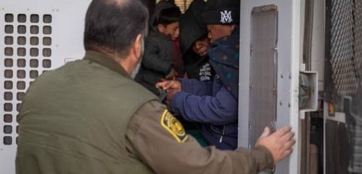 US arrests 538 illegal immigrants and deports hundreds in mass operation days into Trump’s presidency