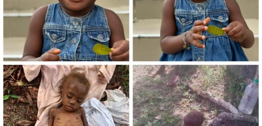 Adorable new photos of toddler rescued after being branded a witch and left to d!e in Akwa Ibom