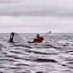 Father records moment whale swallowed his son then spat him back out (video)